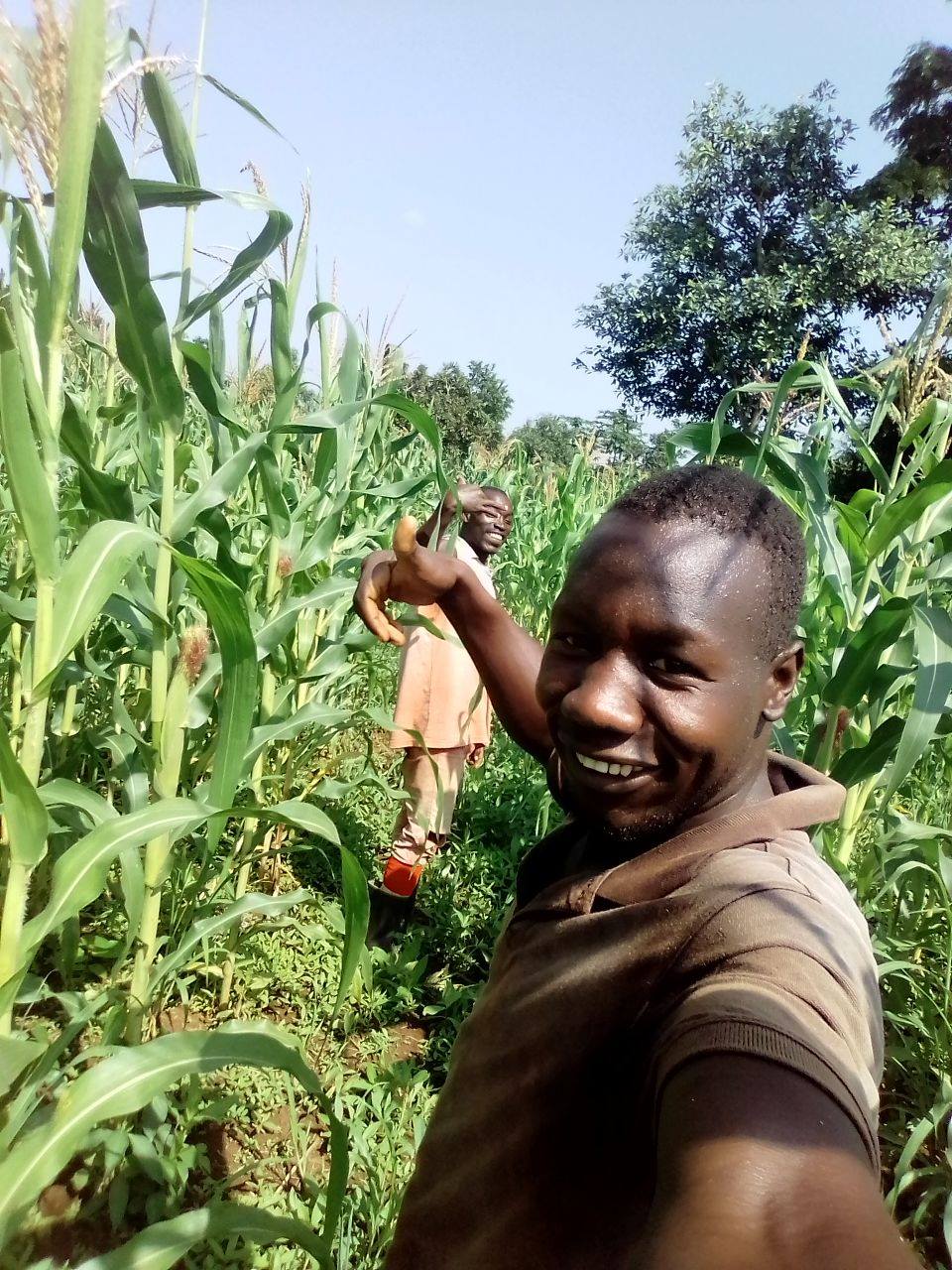 Blijde mannen in een maisveld op de Hope Alive trainingsboerderij in Oeganda