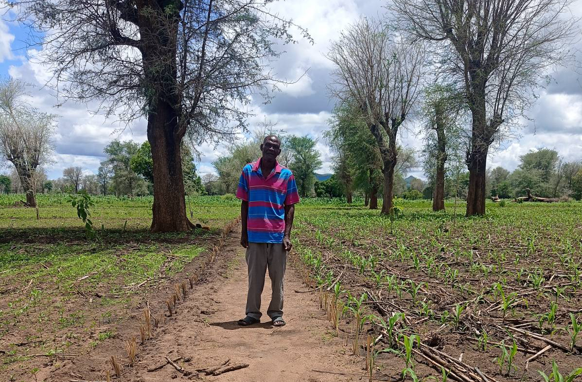 Man in Malawi bij zijn maisveld Het maisveld van het trainingscentrum in Mitongwe wordt met voldoening bekeken.