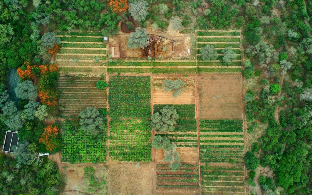 De droom voor Malawi