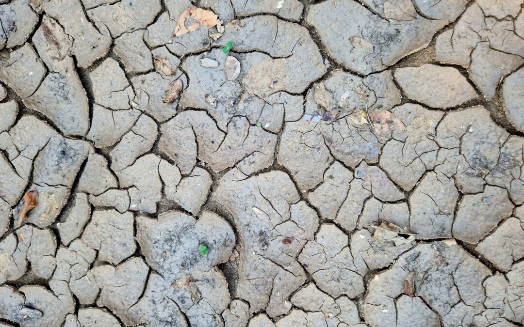 Reisblog vrijwilliger Erik