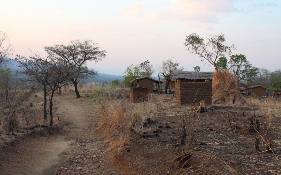 Hongerseizoen start 5 maanden te vroeg