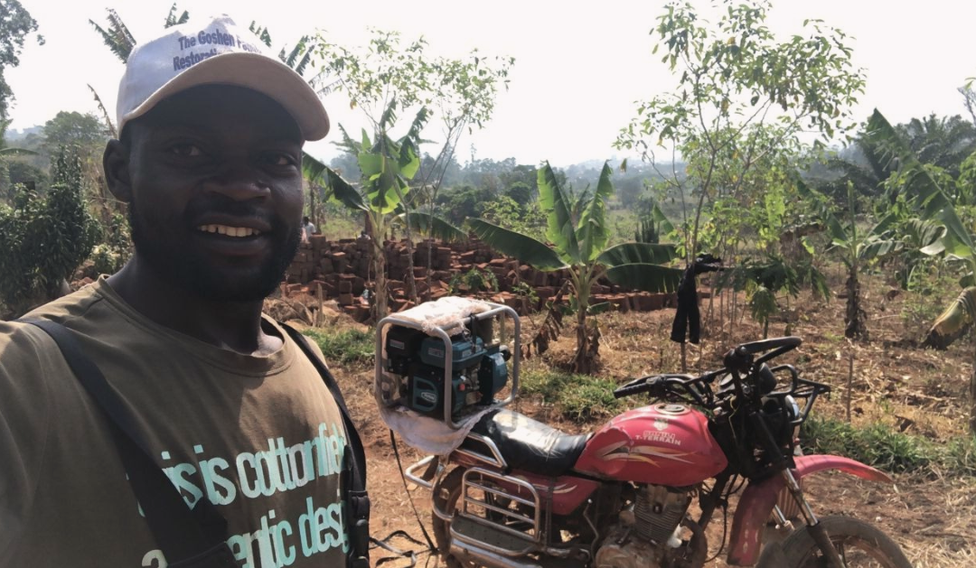 Heel veel boslandbouw