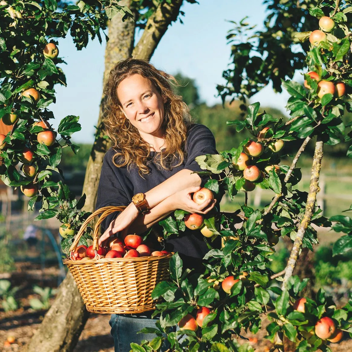 Vrouw met rieten mand met appels in haar handen poserend bij appelboom