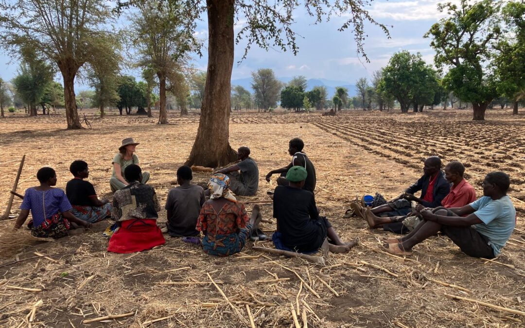 Ik wil niet opvallen, maar dat is onmogelijk