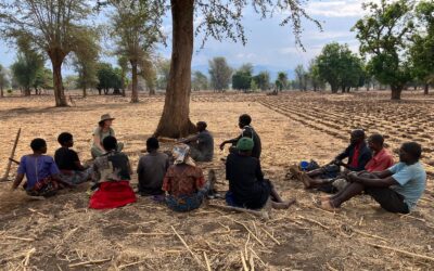 Ik wil niet opvallen, maar dat is onmogelijk