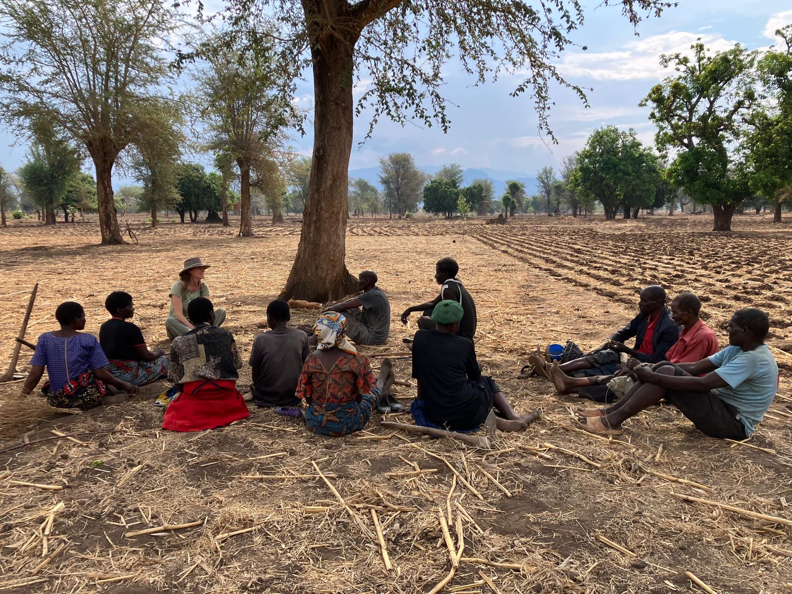 Bertine in gesprek met Malawiaanse boeren op het veld zittend rondom een boom