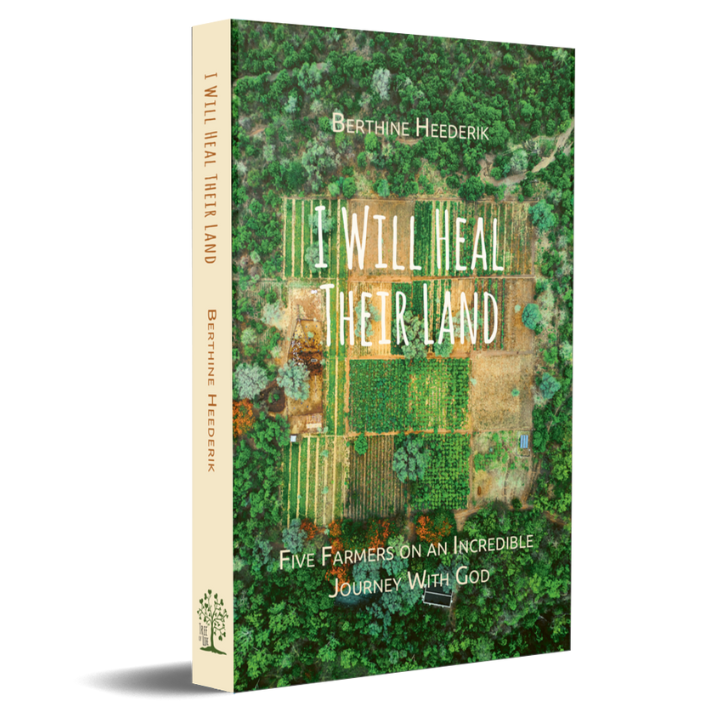 I Will Heal Their Land - Afbeelding 2