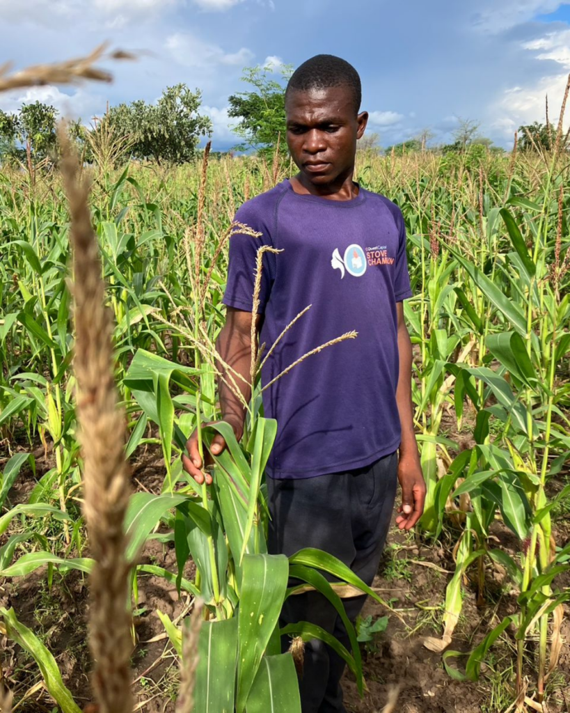 John staat tussen de maïsplanten op Esthers veld in Malawi, de planten reiken tot zijn schouders