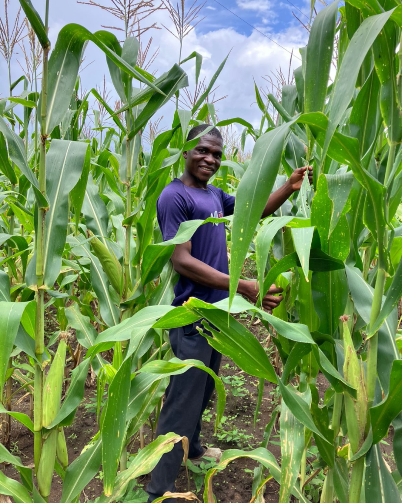 John staat glimlachend tussen het hoge maïs op Esthers veld in Malawi, de planten torenen ver boven hem uit