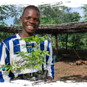 Plant een voedselbos